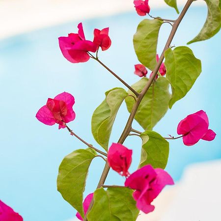 Apartamentos Los Tilos Peguera Dış mekan fotoğraf